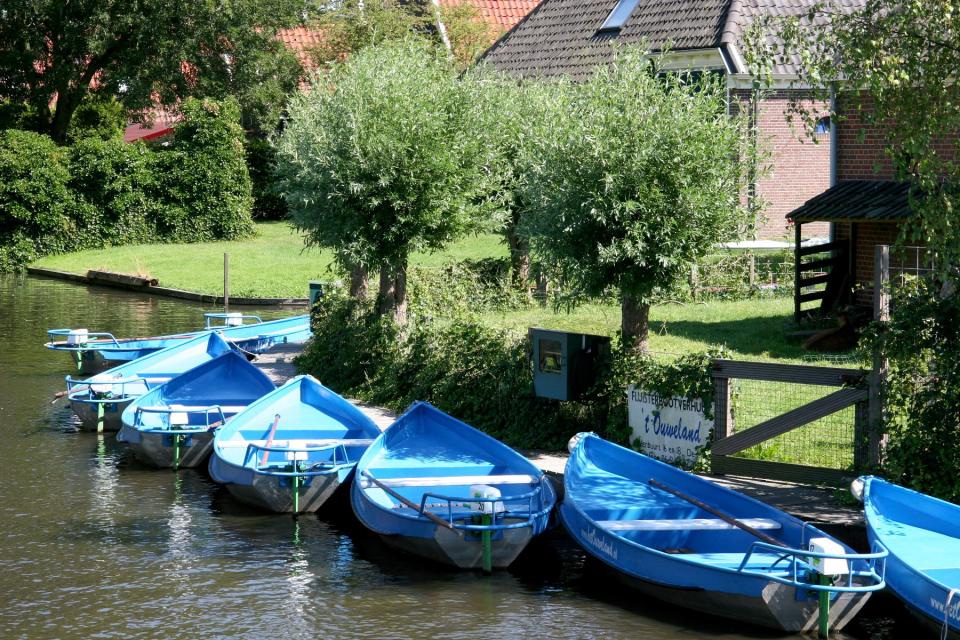 Blauwe fluisterbootjes in de polder